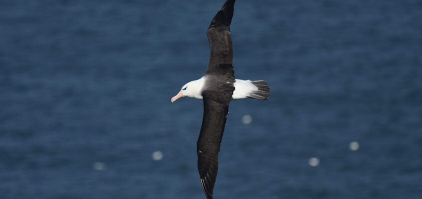 Saturday & Sunday 18th and 19th September – East Coast